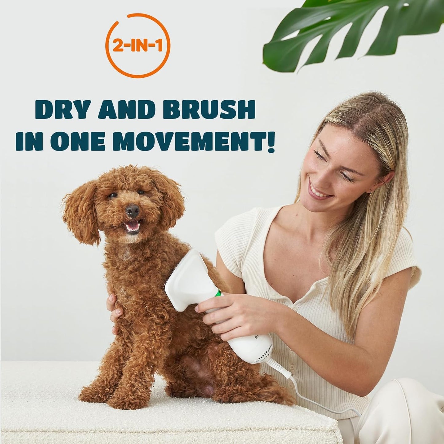 Dog Hair Dryer with Slicker Brush