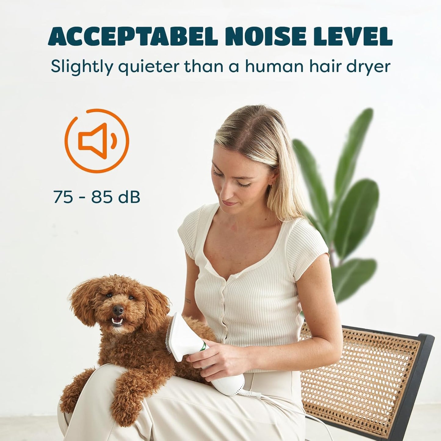 Dog Hair Dryer with Slicker Brush