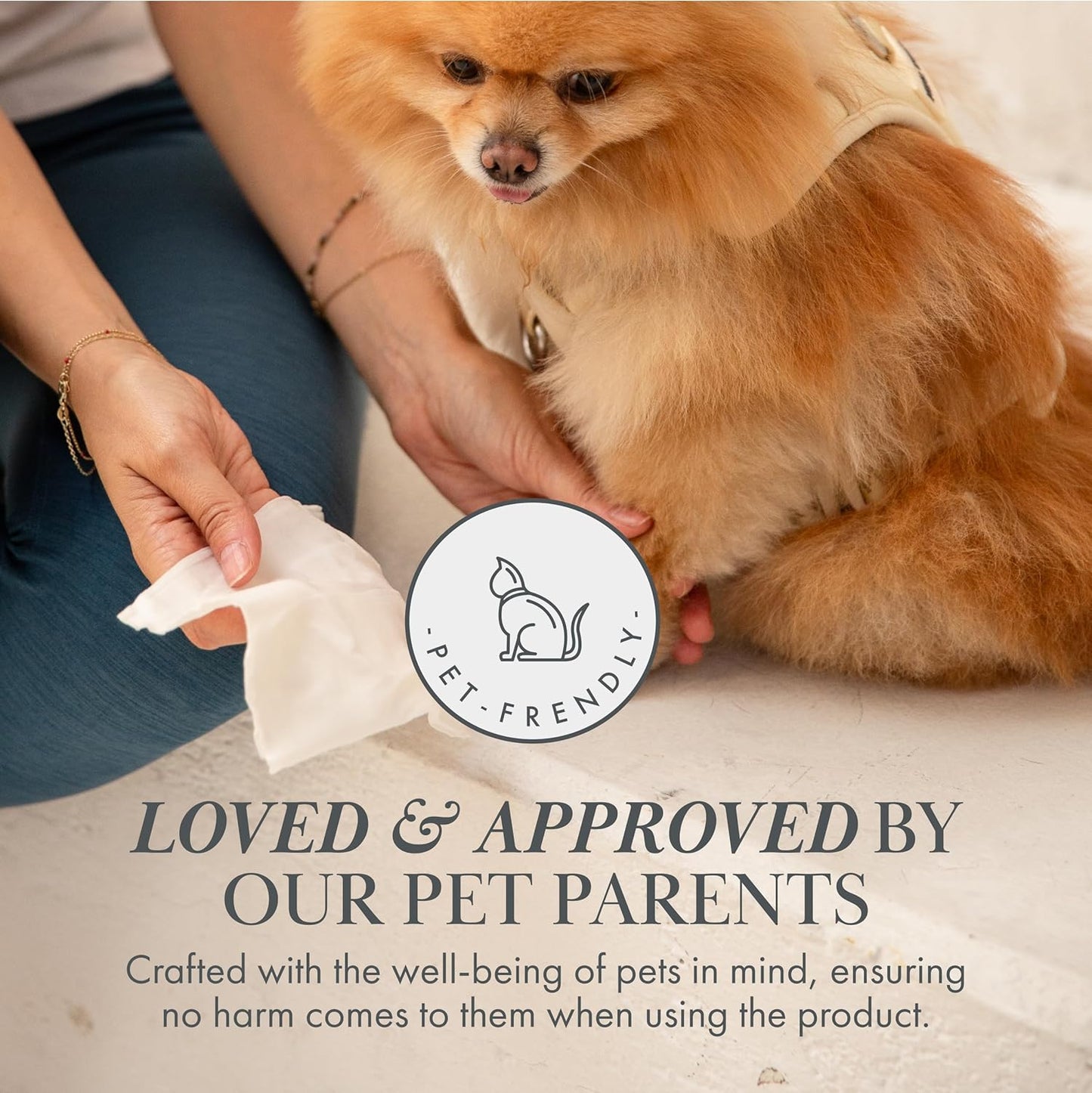 Premium Dog Wipes - Alcohol-Free
