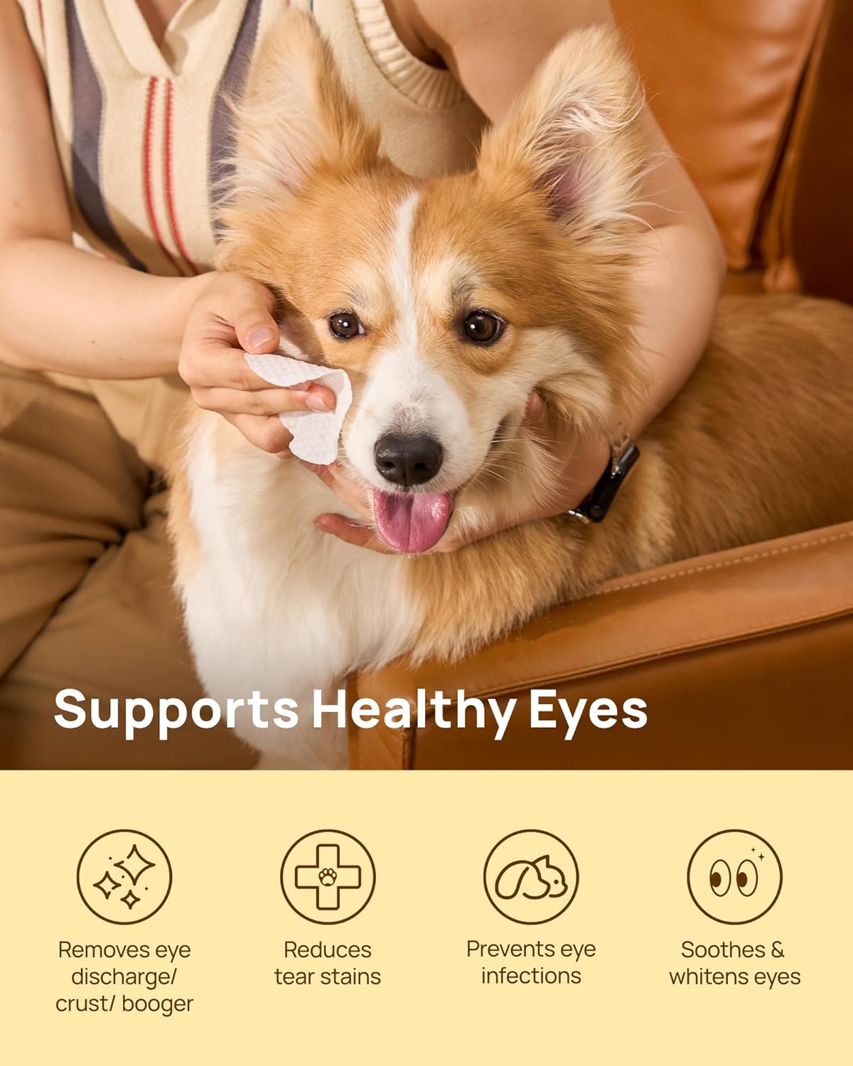 HICC PET Eyes Wipes for Dogs & Cats
