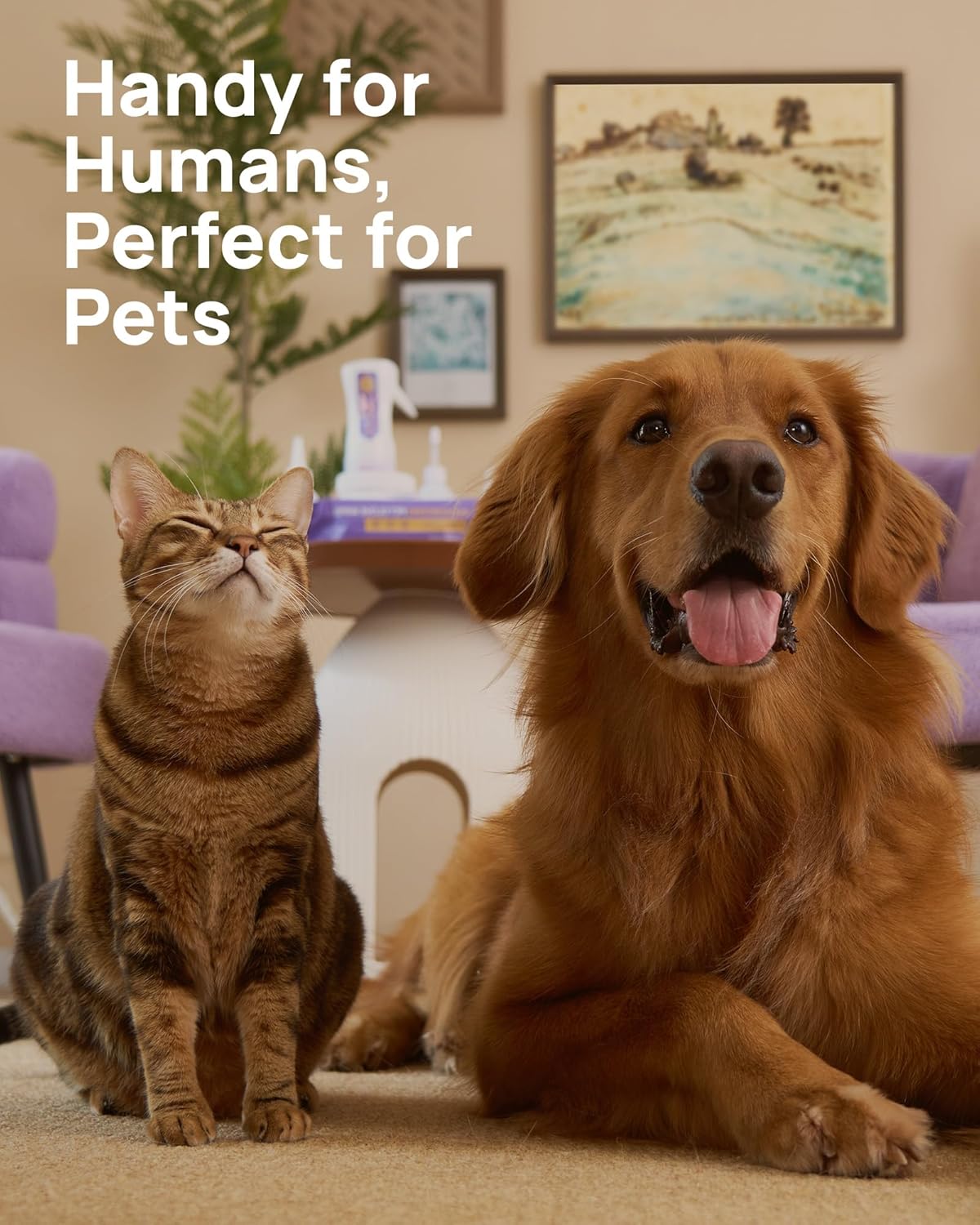 HICC PET Eyes Wipes for Dogs & Cats